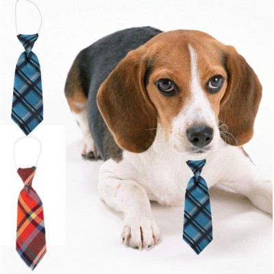 Pet Supply, Silk Genterman Dog Tie